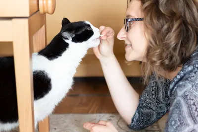 Catosfera Sp. z o.o.